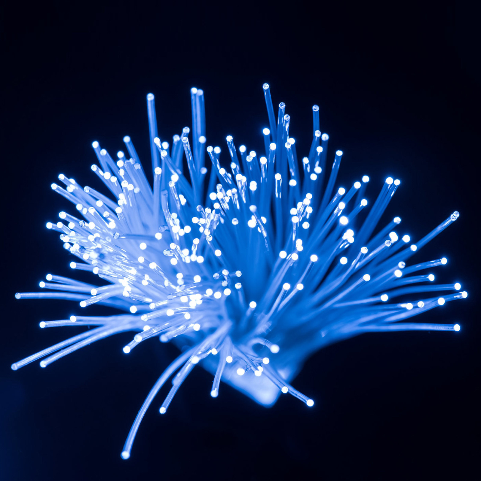 Decor Lighting Fixtures - 100 Meters Light Guiding Optical Fiber